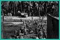 WWII's Most Daring Raids - Smithsonian Channel